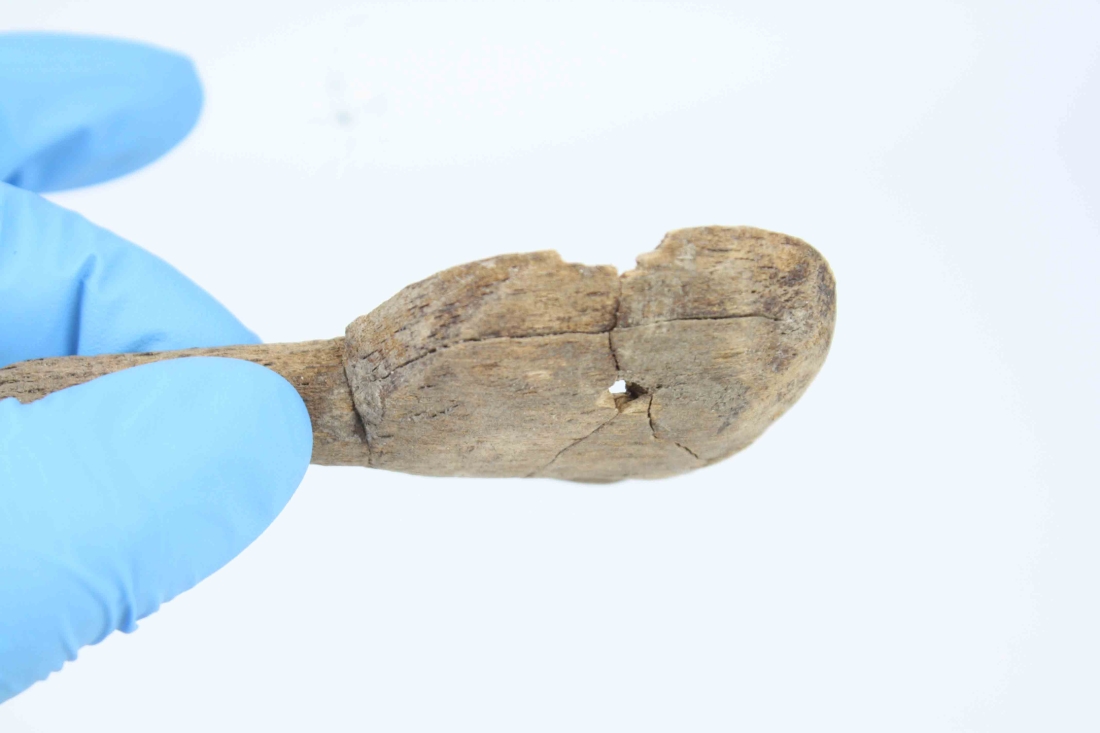 File ATD V170 (17).jpg